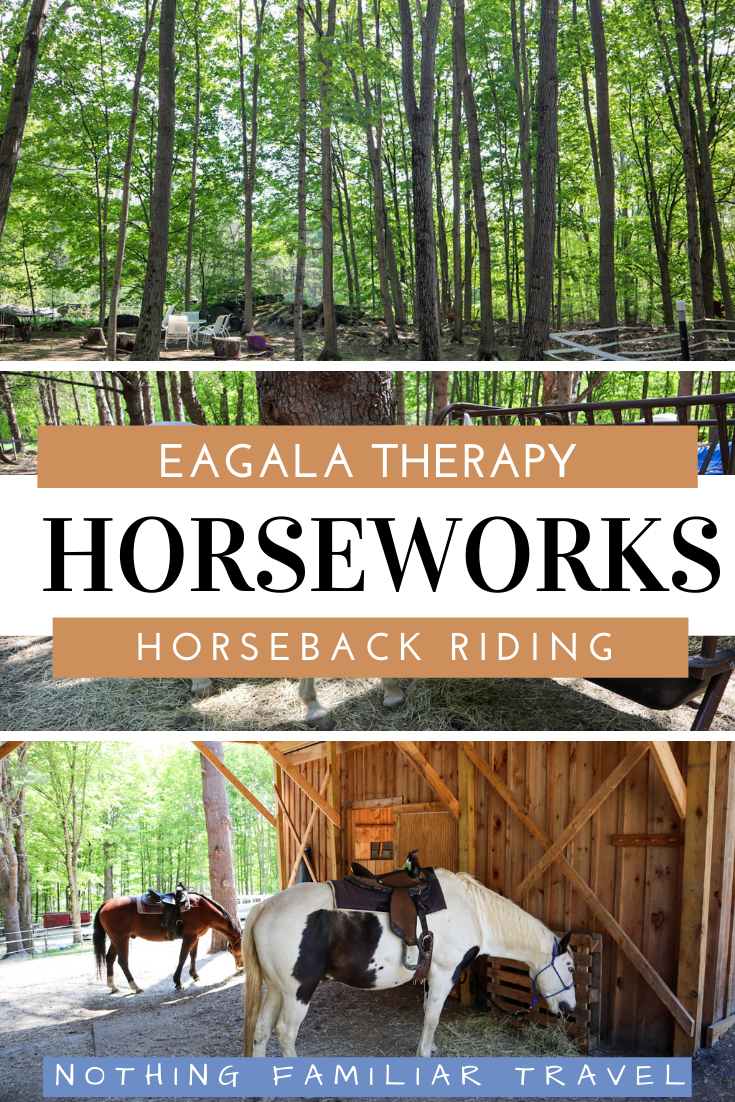 A Day at Berkshire HorseWorks Horseback Riding and EAGALA Therapy