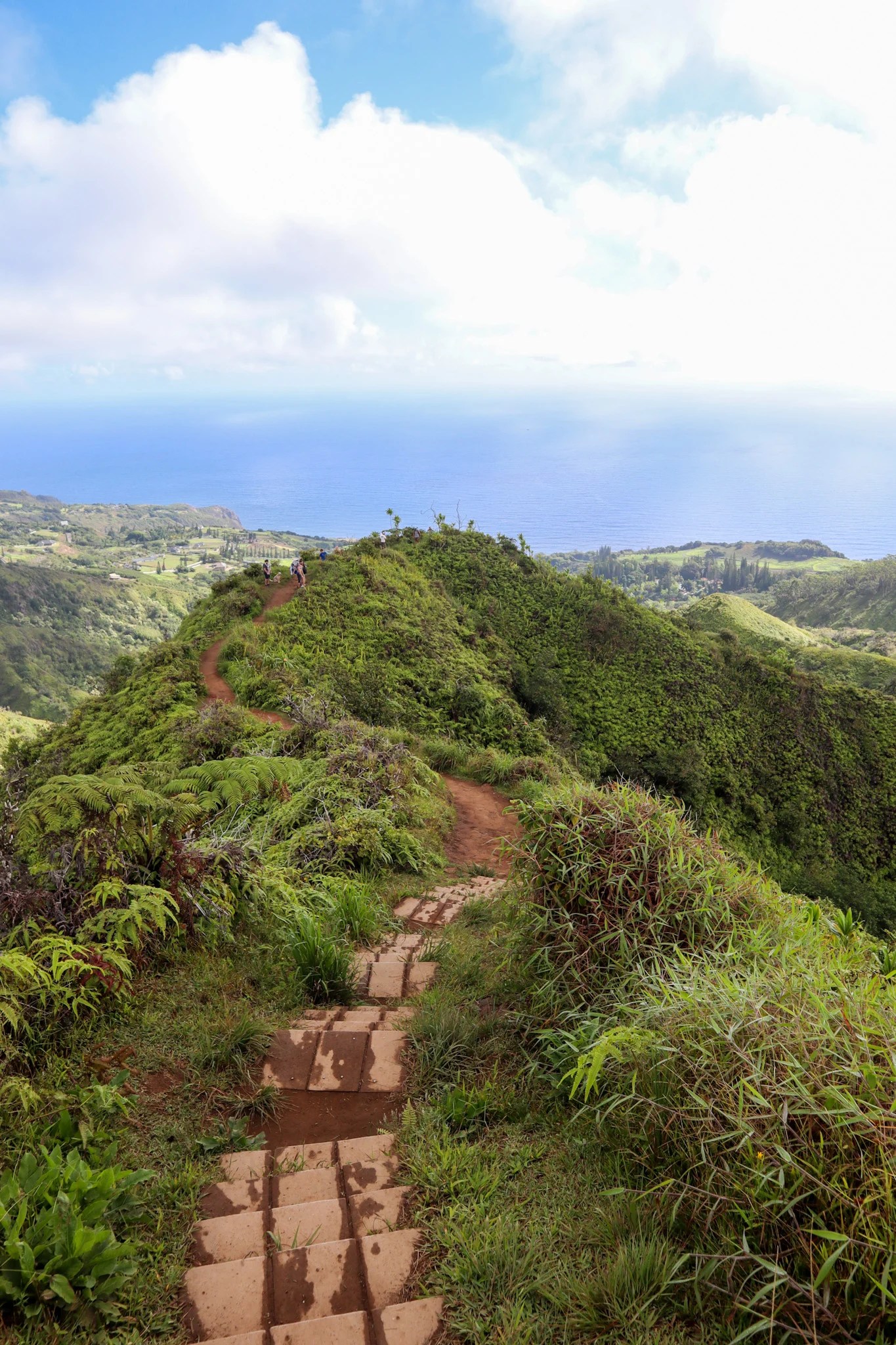 Waihee Ridge Trail Why It's the Maui Hike You Can't Miss!