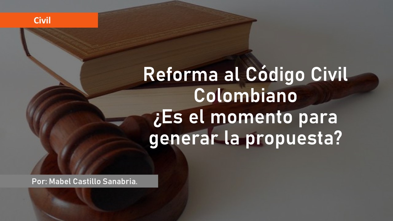 Legal Reforma al Código Civil Colombiano ¿Es el momento para