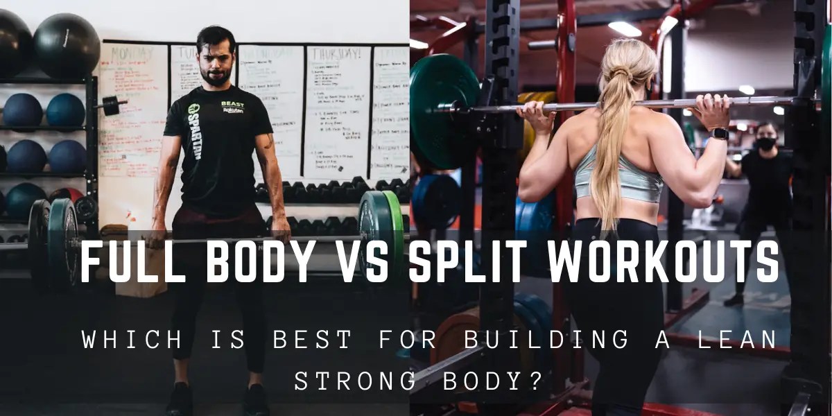 Full Body Workout vs Split Routine, Which Is Best For Muscle?