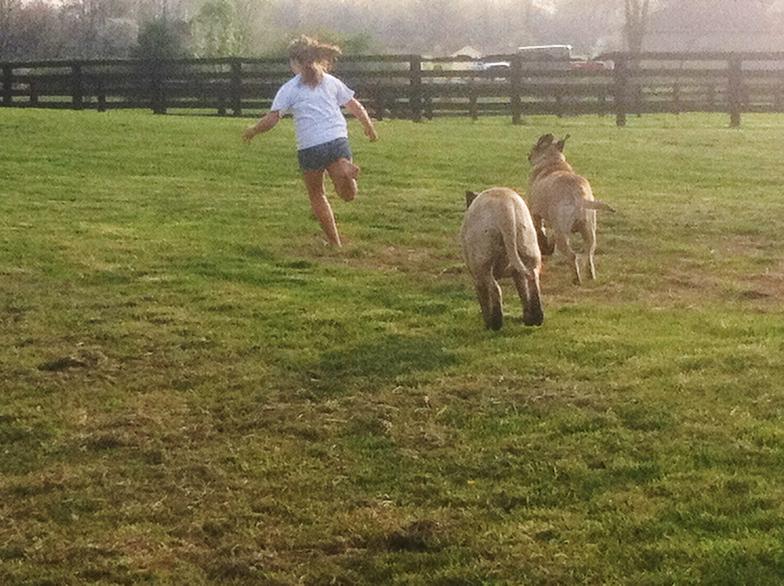 Clover Valley Kennels Johnstown, OH 43031