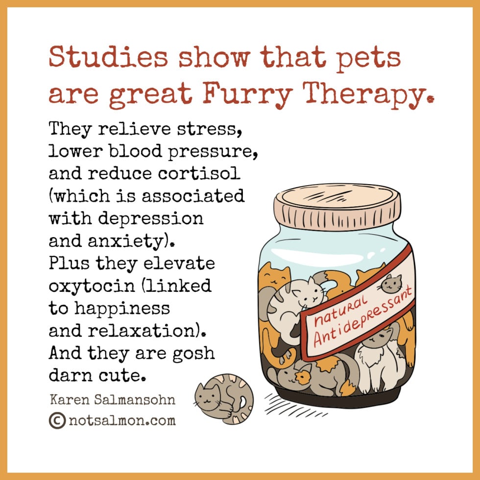 The Many Health Benefits Of Owning a Dog or Being Around