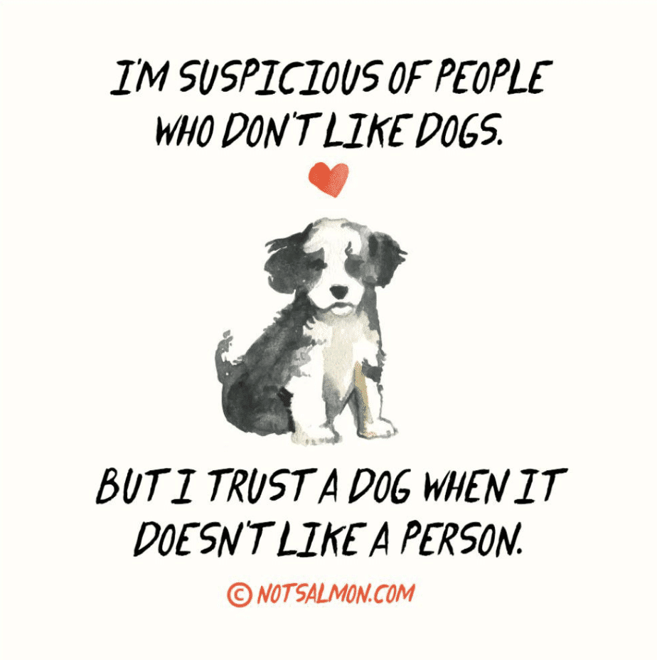 18 Fun Dog Quotes and Puppy Quotes for Dog And Puppy Lovers