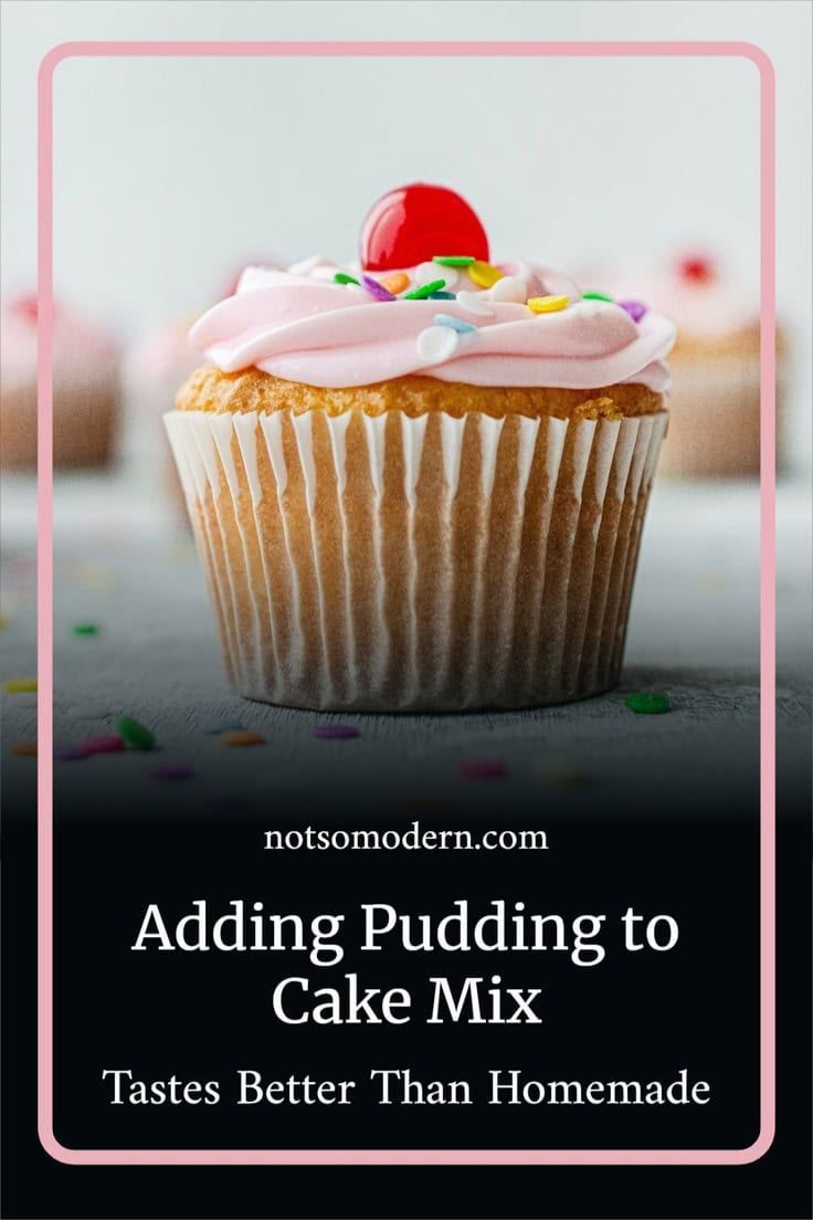 Do I Have To Use Instant Pudding In A Cake Mix Garrett Sinund85
