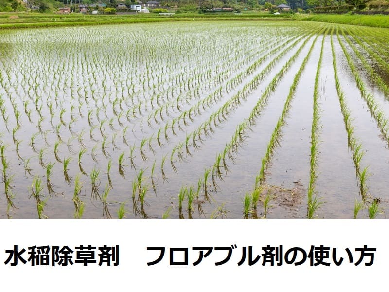 水稲除草剤 フロアブル剤の使い方とおすすめ商品 農家web