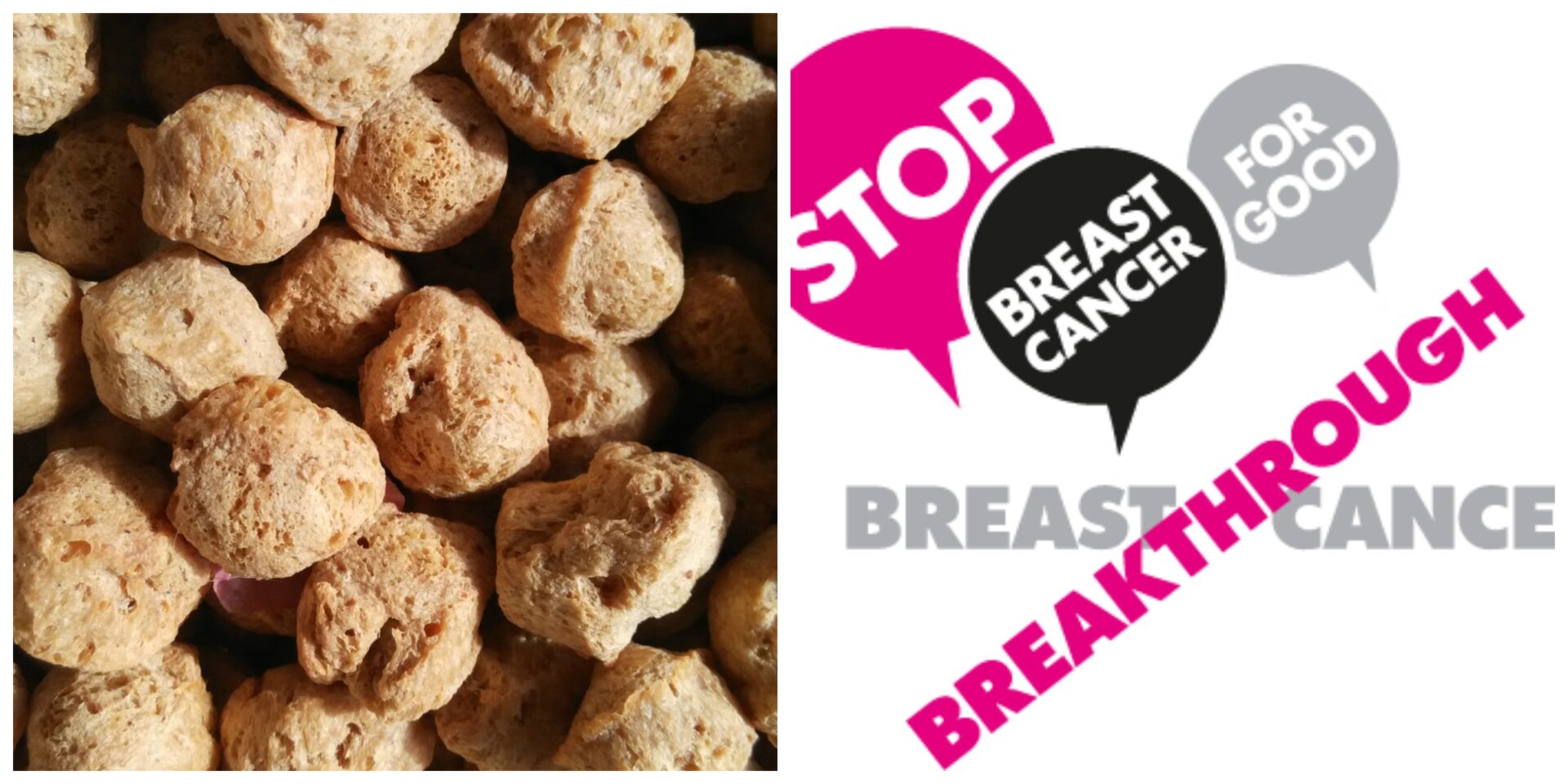 The Link Between Soybeans and Breast Cancer NourishDoc