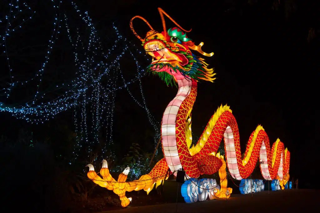 Brand New 'Wild Lights' Night Time Attraction Opens In Dublin Zoo Tomorrow!