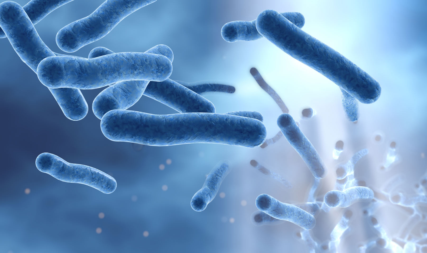 Legionella Testing NoVA Environmental Solutions