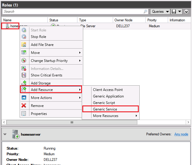 Novell Doc Dynamic File Services 2.2 Installation Guide Installing