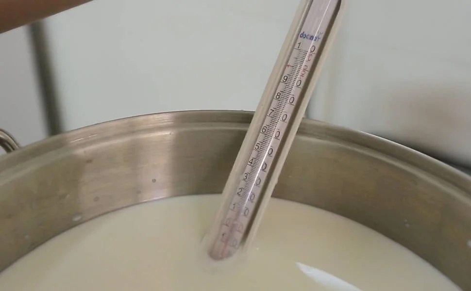 Como Fazer Queijo Passo a Passo