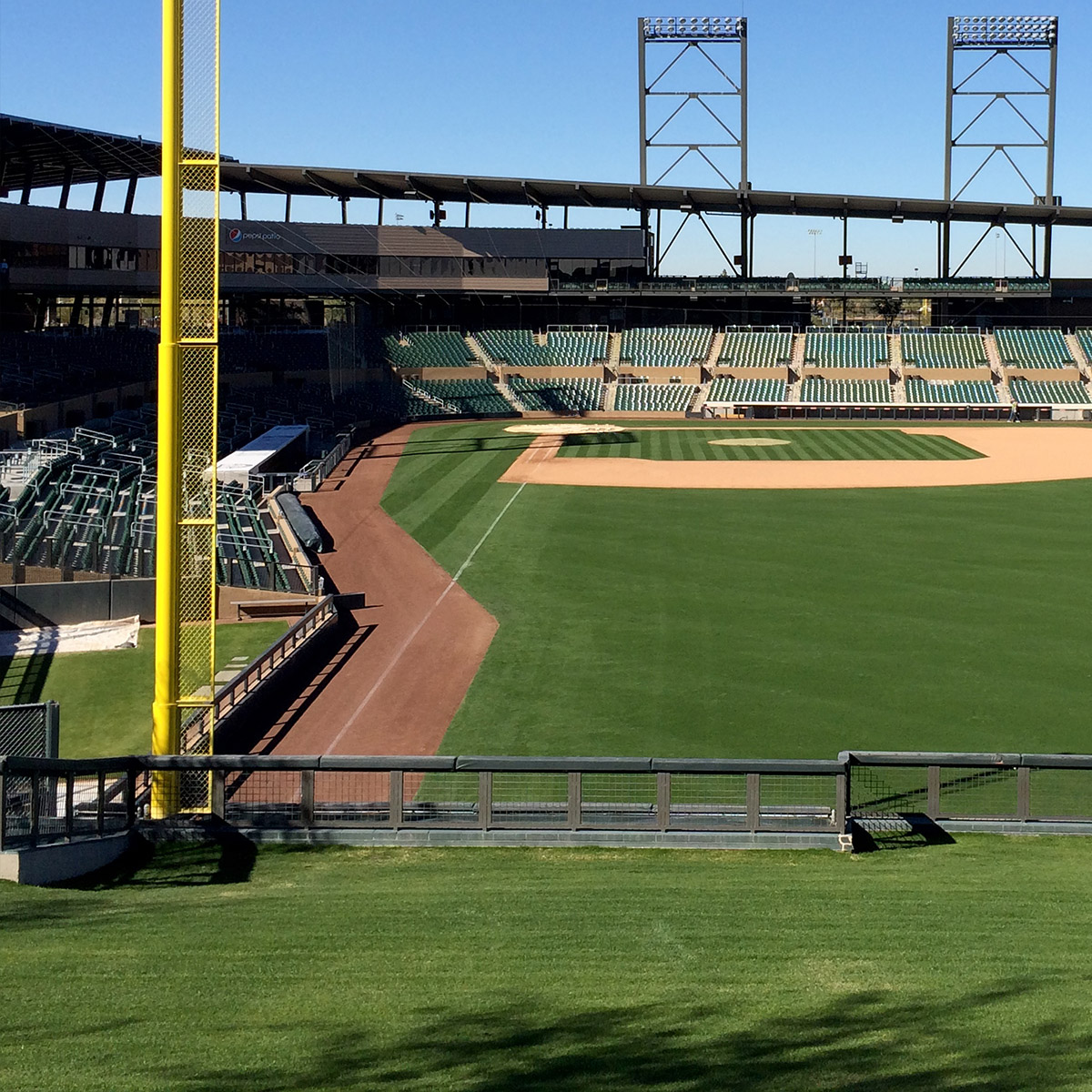 Are Dogs Allowed At Chase Field