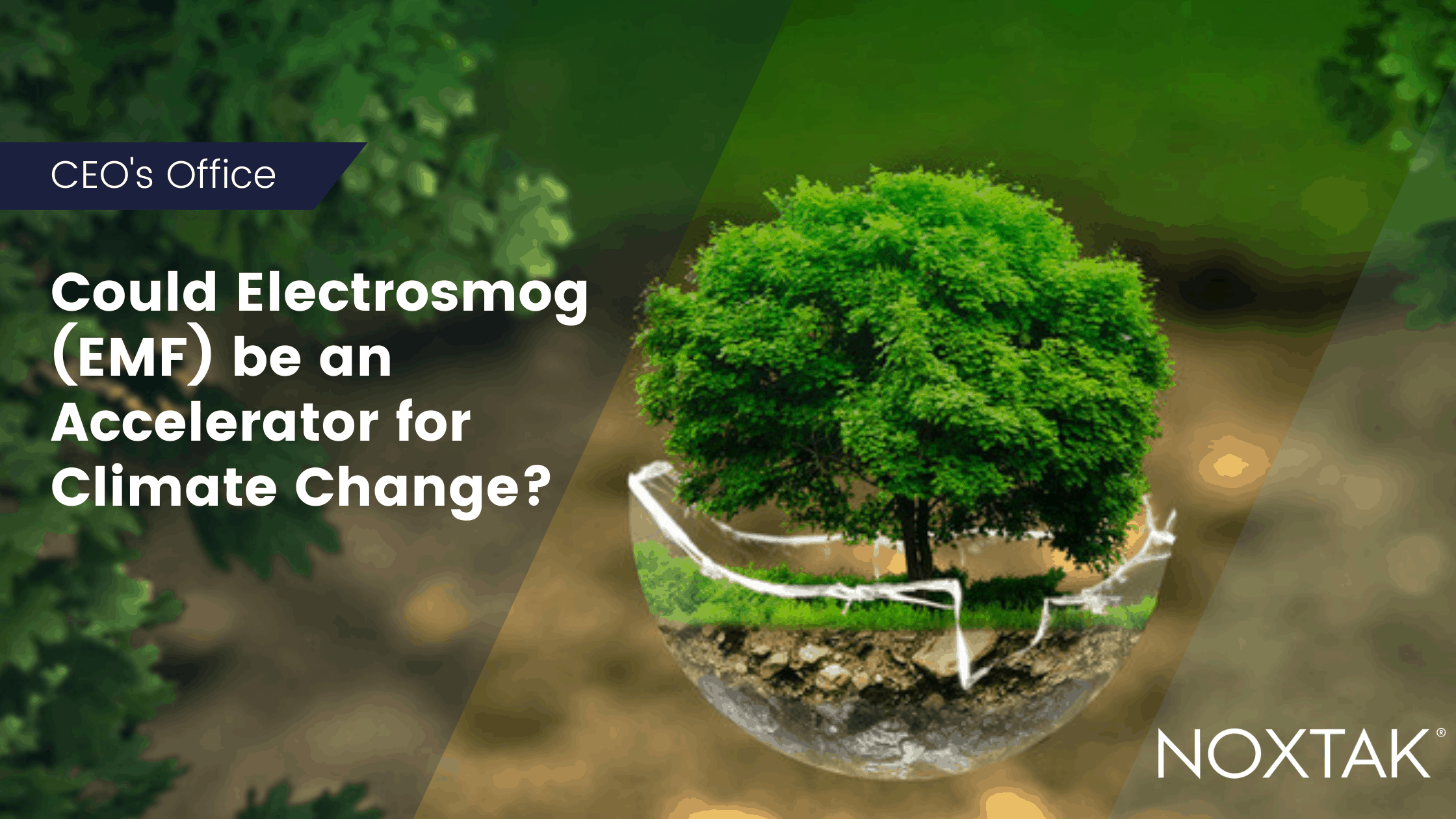 Could Electrosmog (EMF) be an accelerator for Climate Change? Noxtak