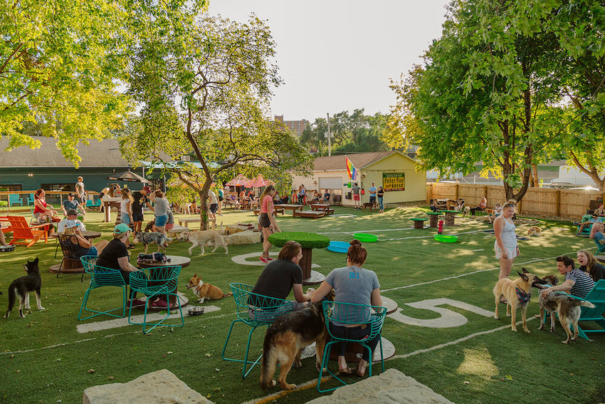 The 9 Best Dog Parks in the Omaha Area, Mapped The Dodge Voice Omaha