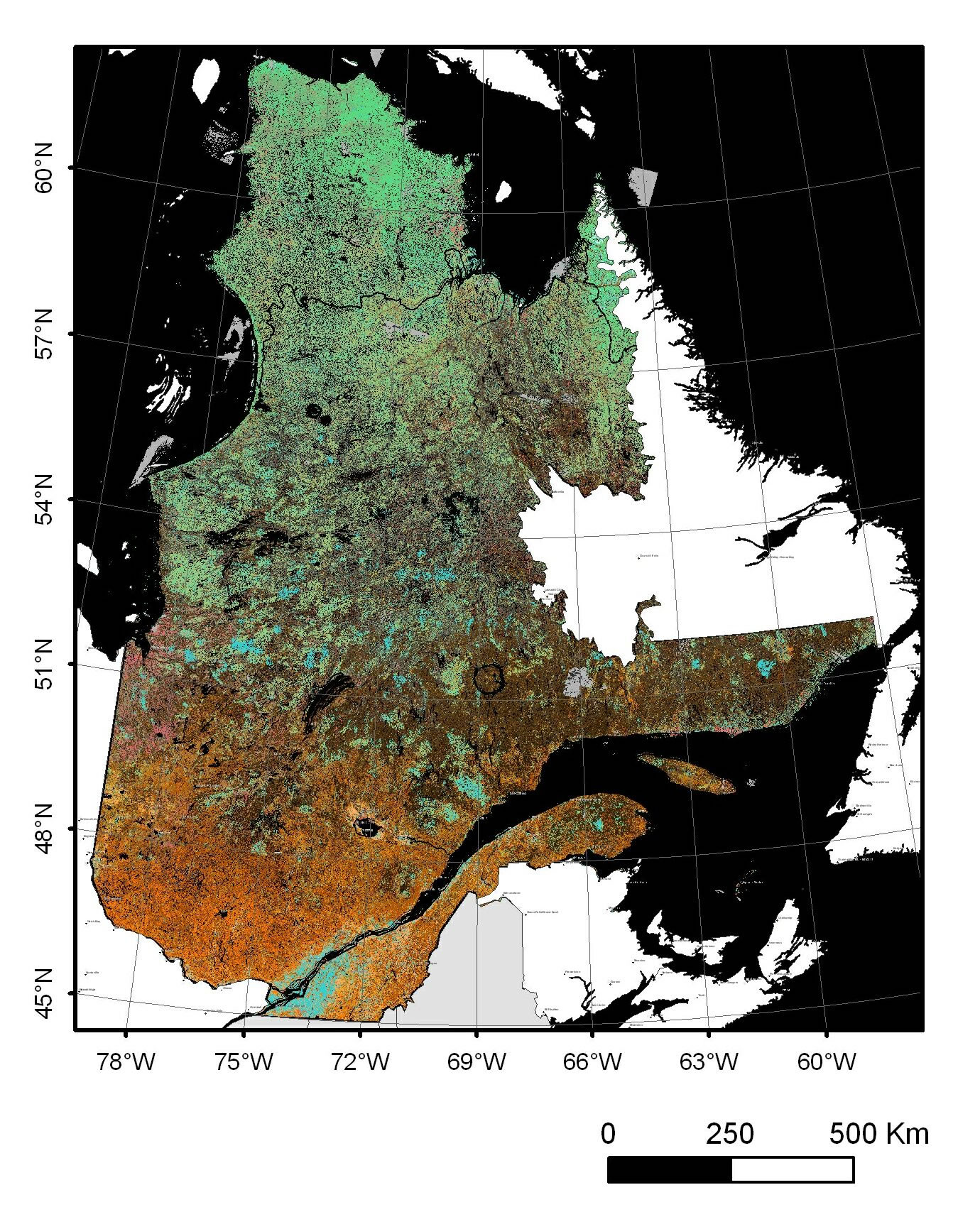 Forest cover map