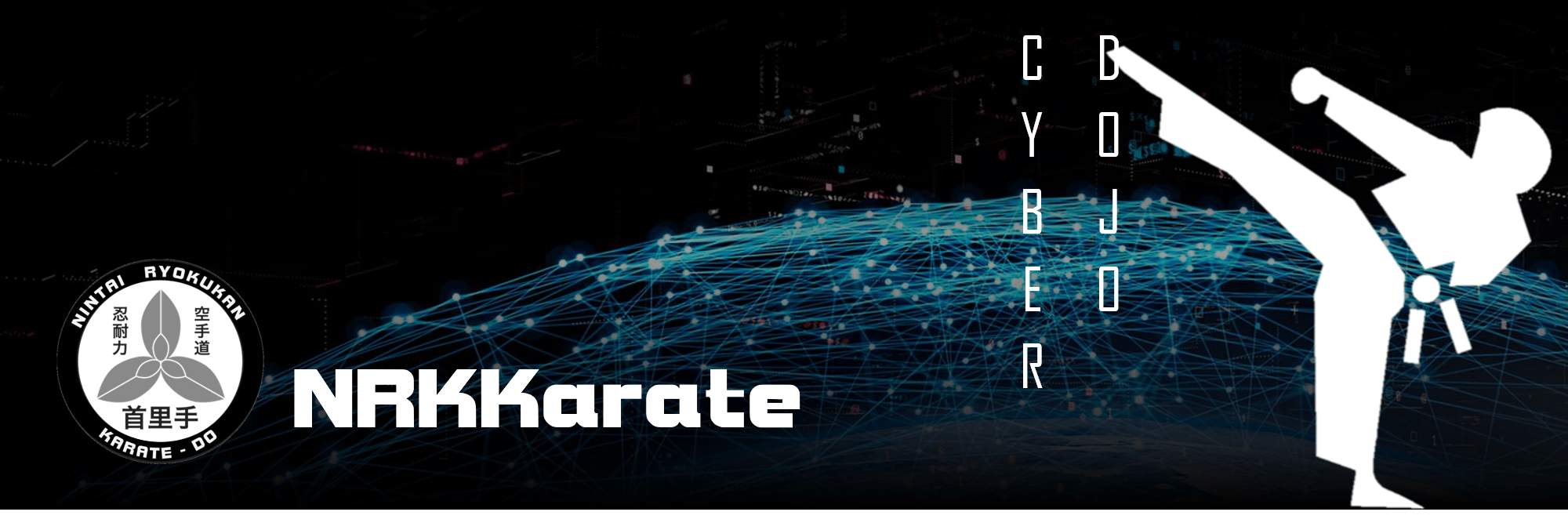 CYBER DOJO TRAINING IS AVAILABLE NRK Karate