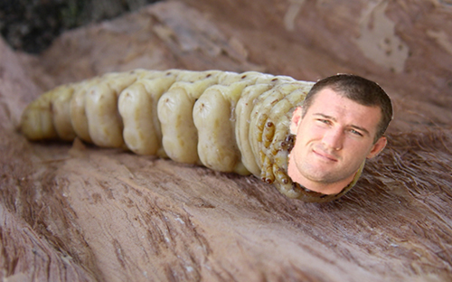 Select from premium paul of the highest quality. 25 Nrlceo Players Not To Draft In 2015