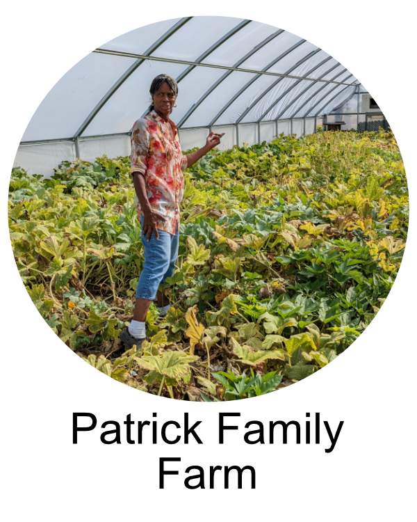 Desert Agriculture Newberry Springs, California