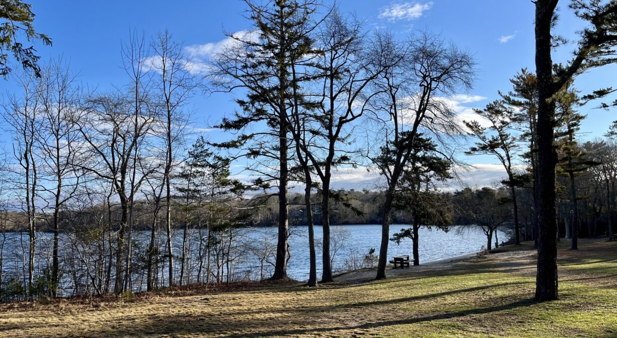 Fresh Pond Park North and South Rivers Watershed Association