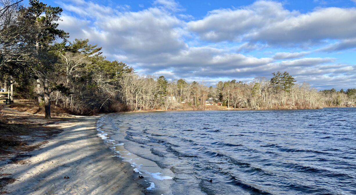 Fresh Pond Park North and South Rivers Watershed Association