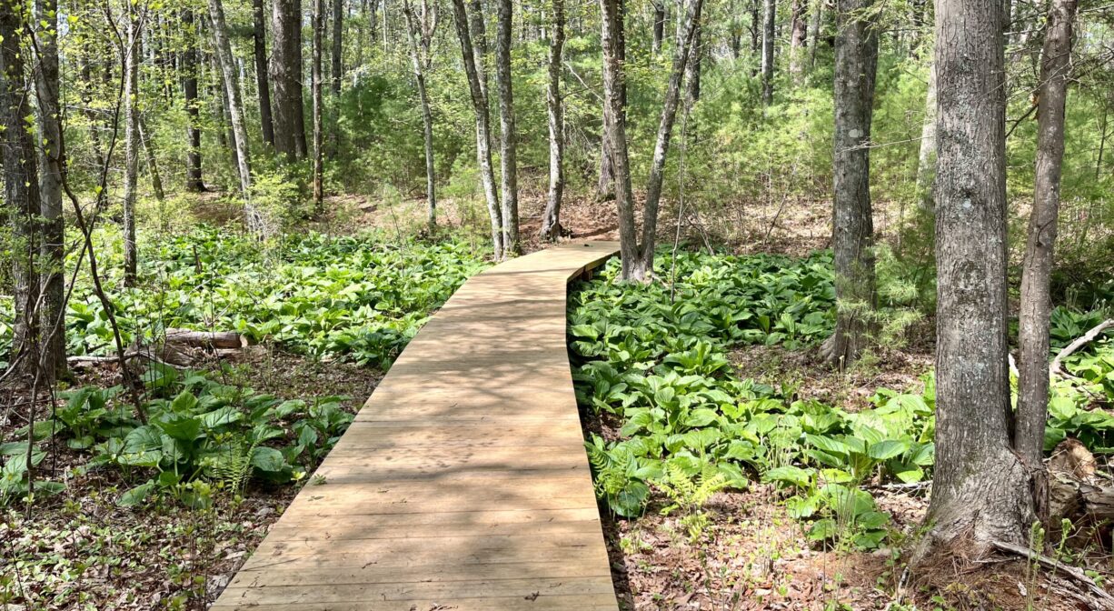 Two Brooks Preserve North and South Rivers Watershed Association