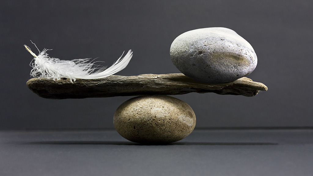A Delicate Balance NSTA