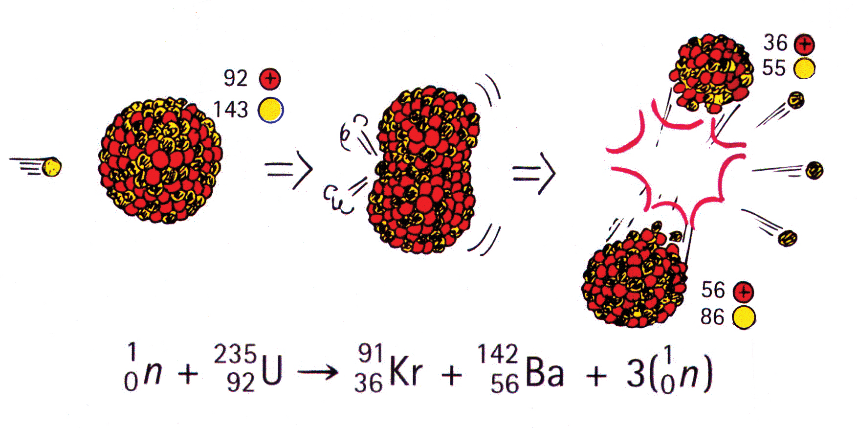 Focus on Physics How E = mc2 Helps Us Understand Nuclear Fission and