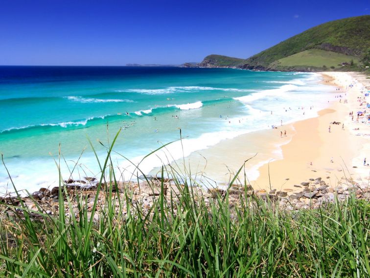 Blueys Beach NSW Government