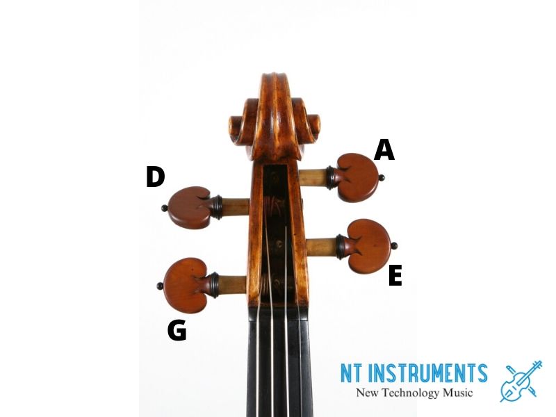Violin Tuning How To Tune Your Violin + (Free) Online Tuner
