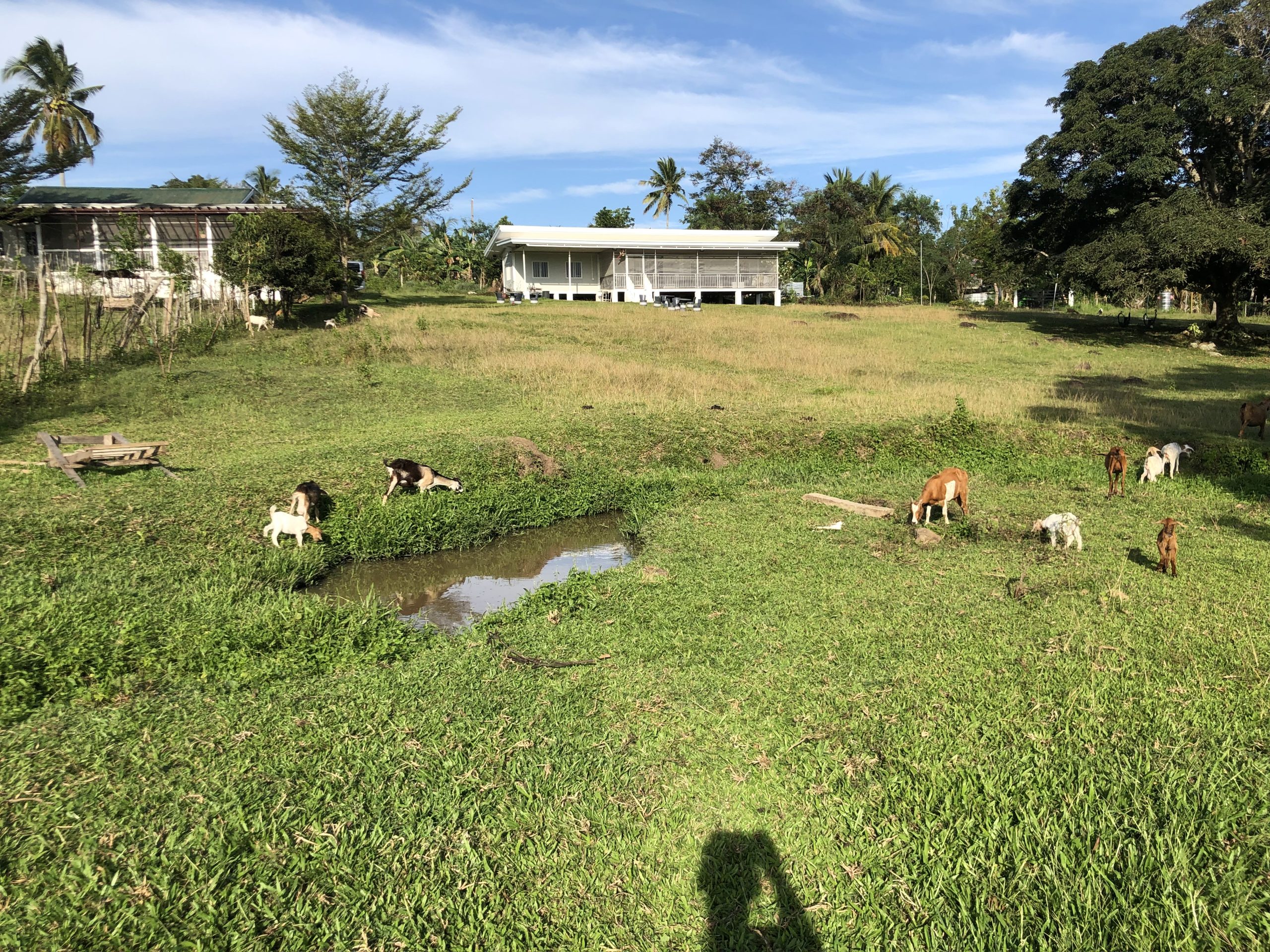 For Sale » Dragon Fruit Farm in Digos » NTC Properties Houses For