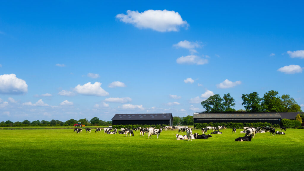 Rain Tanks Using a Rainwater Harvesting System for Livestock