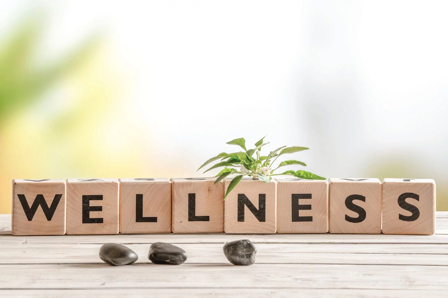 Community Wellness Night Neshannock Township School District