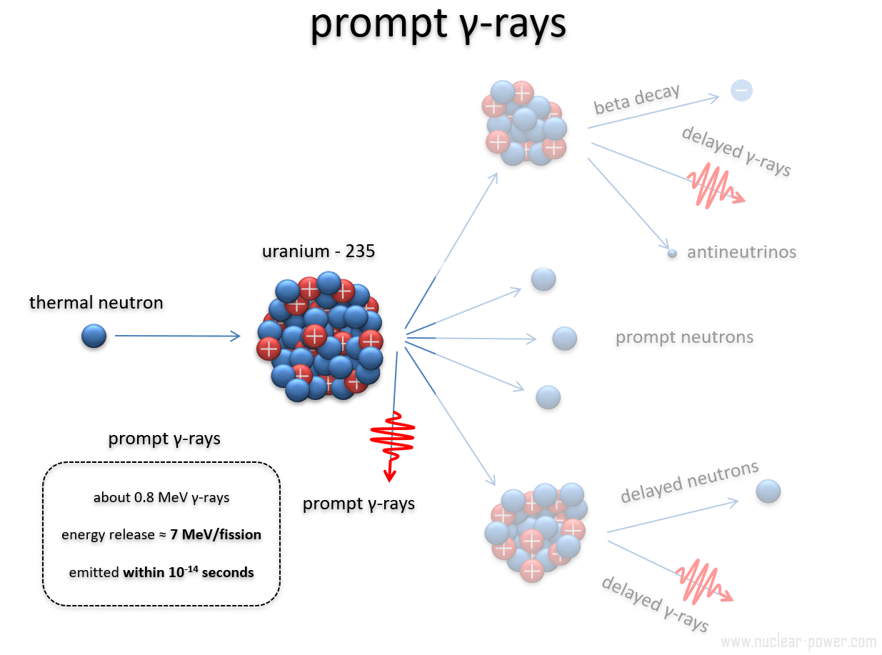 Prompt Gamma Rays