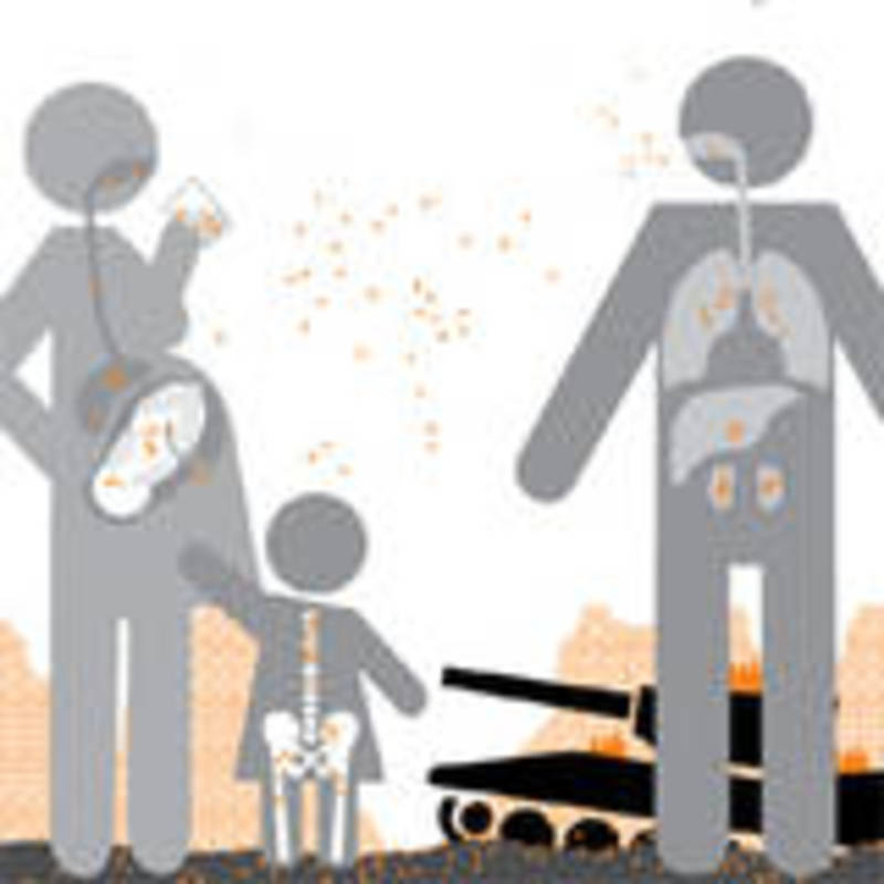NUCLEARRISKS Health effects