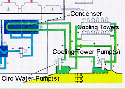 Nuclear Power Plant Circulating Water Systems
