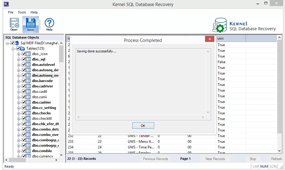 Recover SQL data from a corrupted transaction log file
