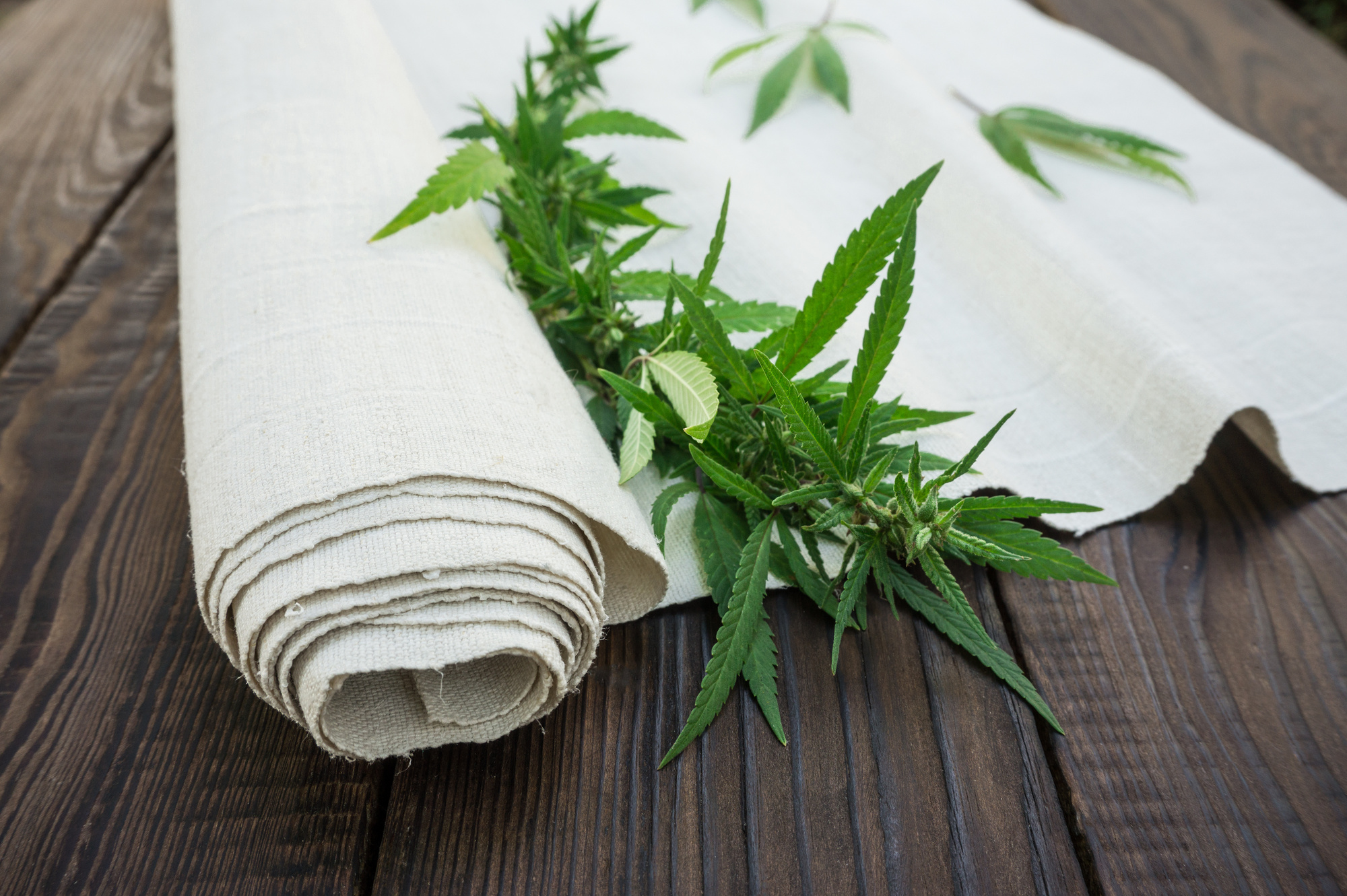 Helpful Hemp Why Products Made from Hemp Are Great for the Environment