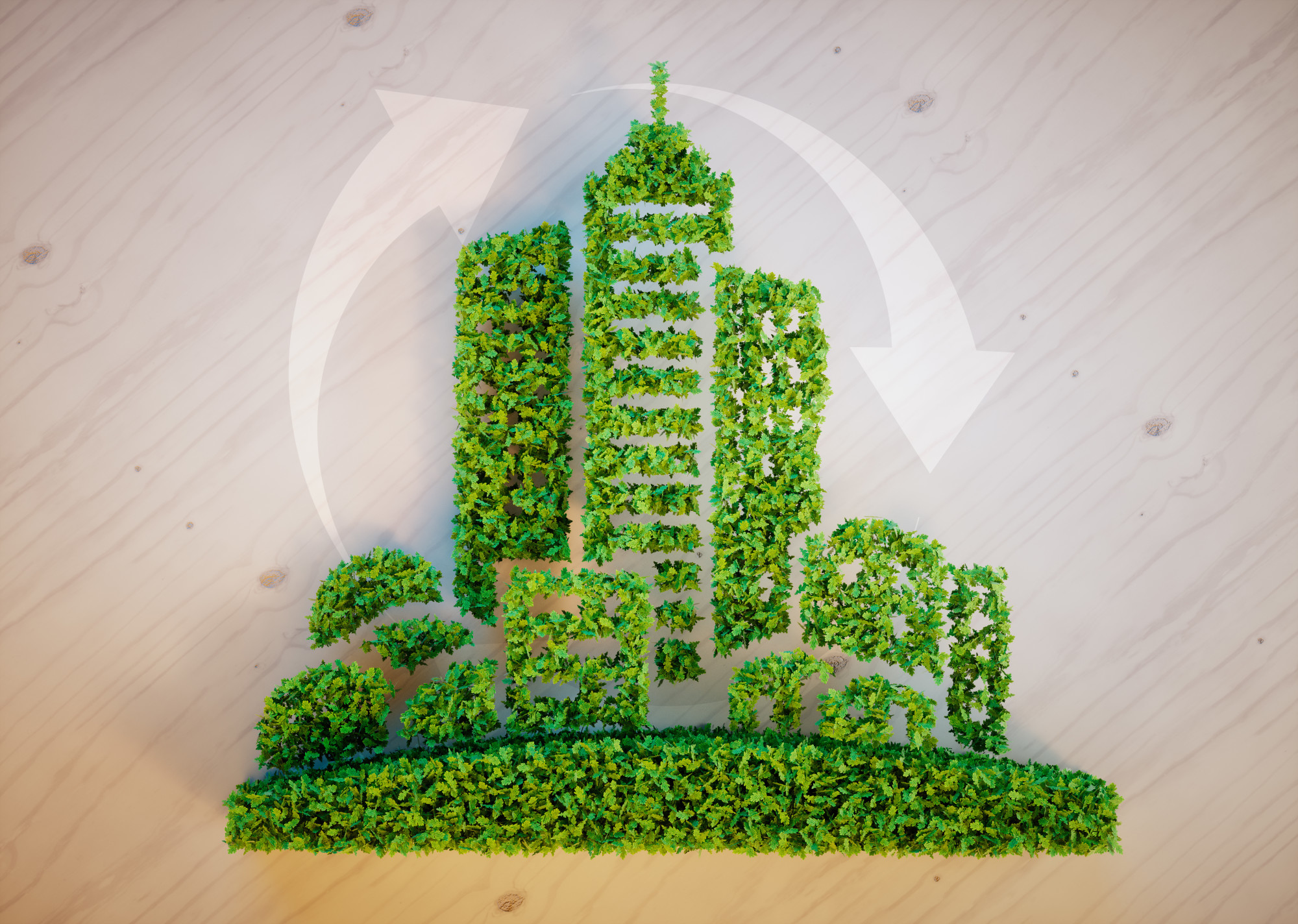 Sustainability in the Workplace How to Make Your Office Eco Friendly