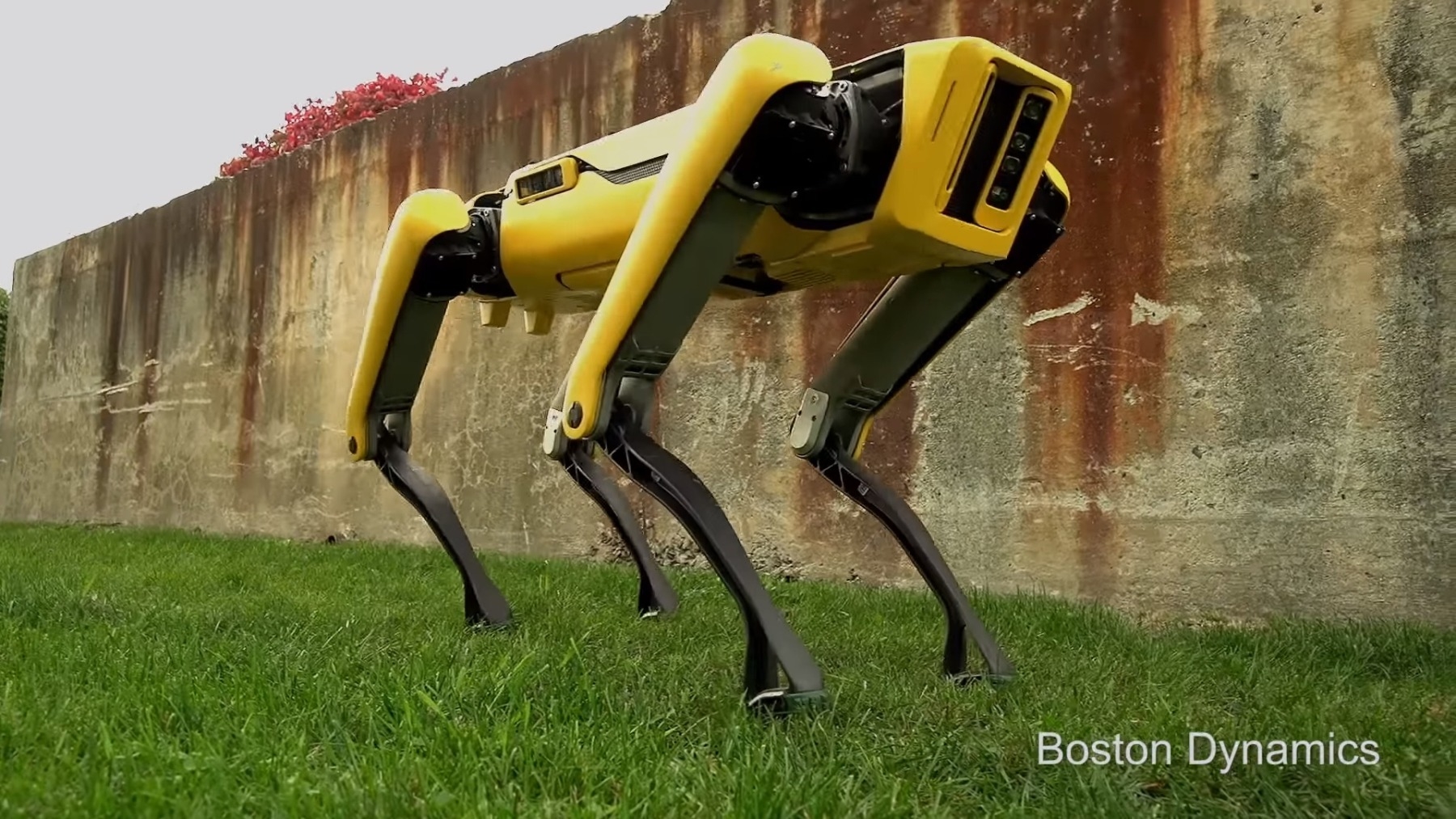 Le robot SpotMini de Boston Dynamics sera commercialisé en 2019