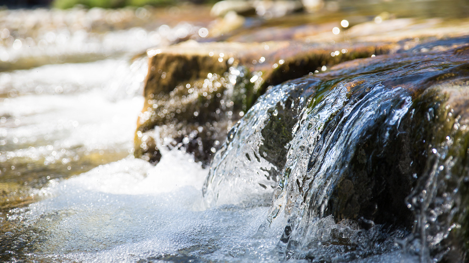 Severn Trent Water Numeritas