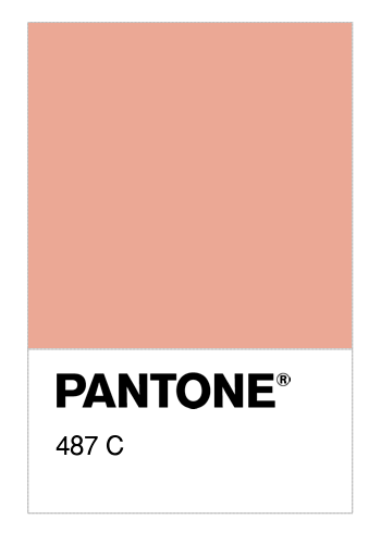 Colore PANTONE® 487 C - Numerosamente.it