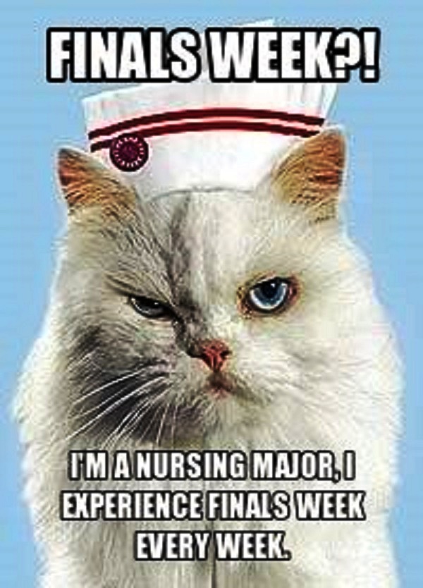 40 Funny and Relatable Nursing School Memes NurseBuff