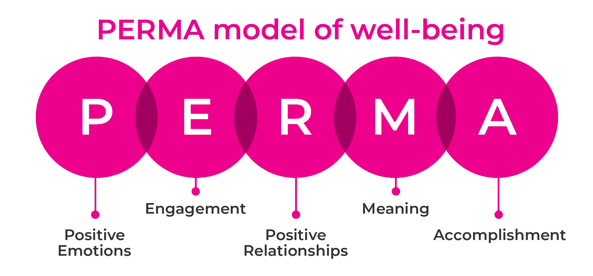 5 Ways Positive Psychology Leads To Happier Ageing Nurse Next Door
