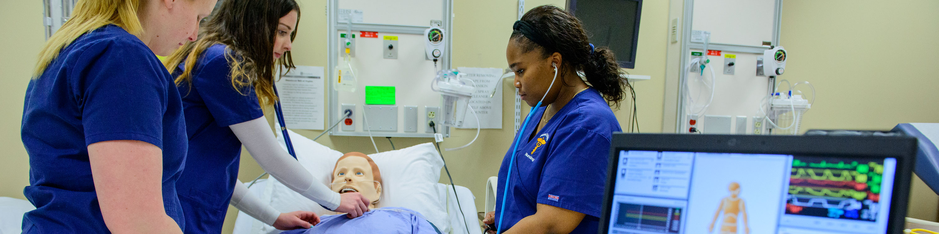 Undergraduate Programs Penn State Nursing
