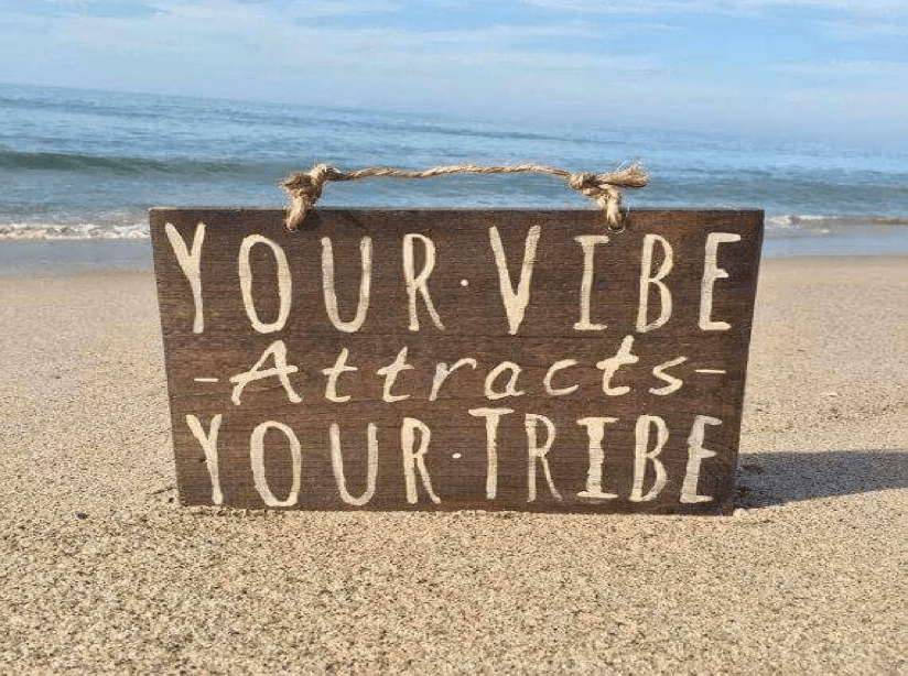 Your Vibe Attracts Your Tribe All You Need Infos