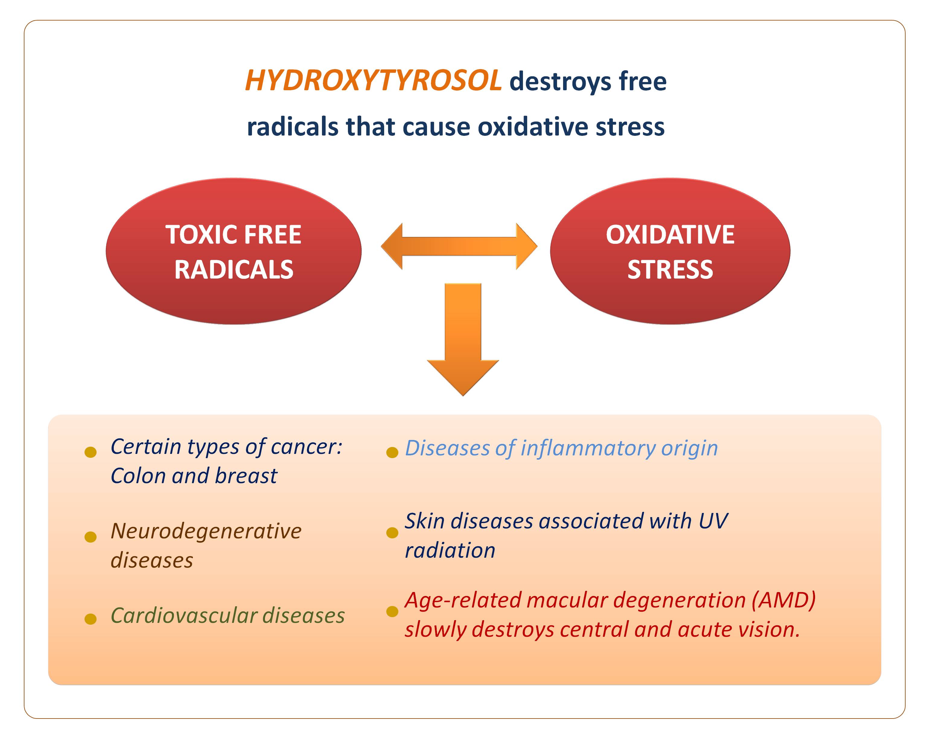Properties and benefits of the Hydroxytyrosol from olive trees.