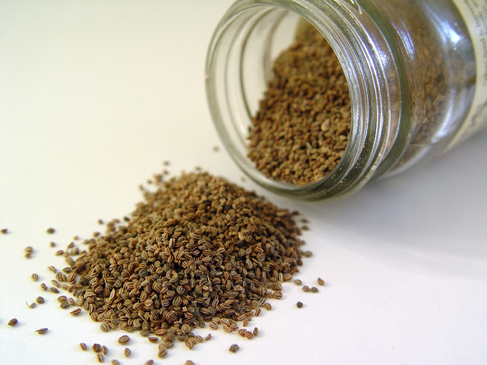 Celery Seed Extract Custom Formulation Supplement Manufacturer