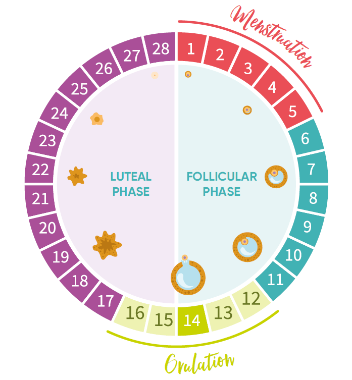 Key Nutrients and Lifestyle Tips to Support Premenstrual Syndrome (PMS