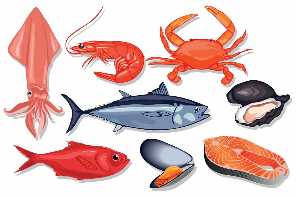17 Healthy Types of Seafood the Best Options Nutrition Advance