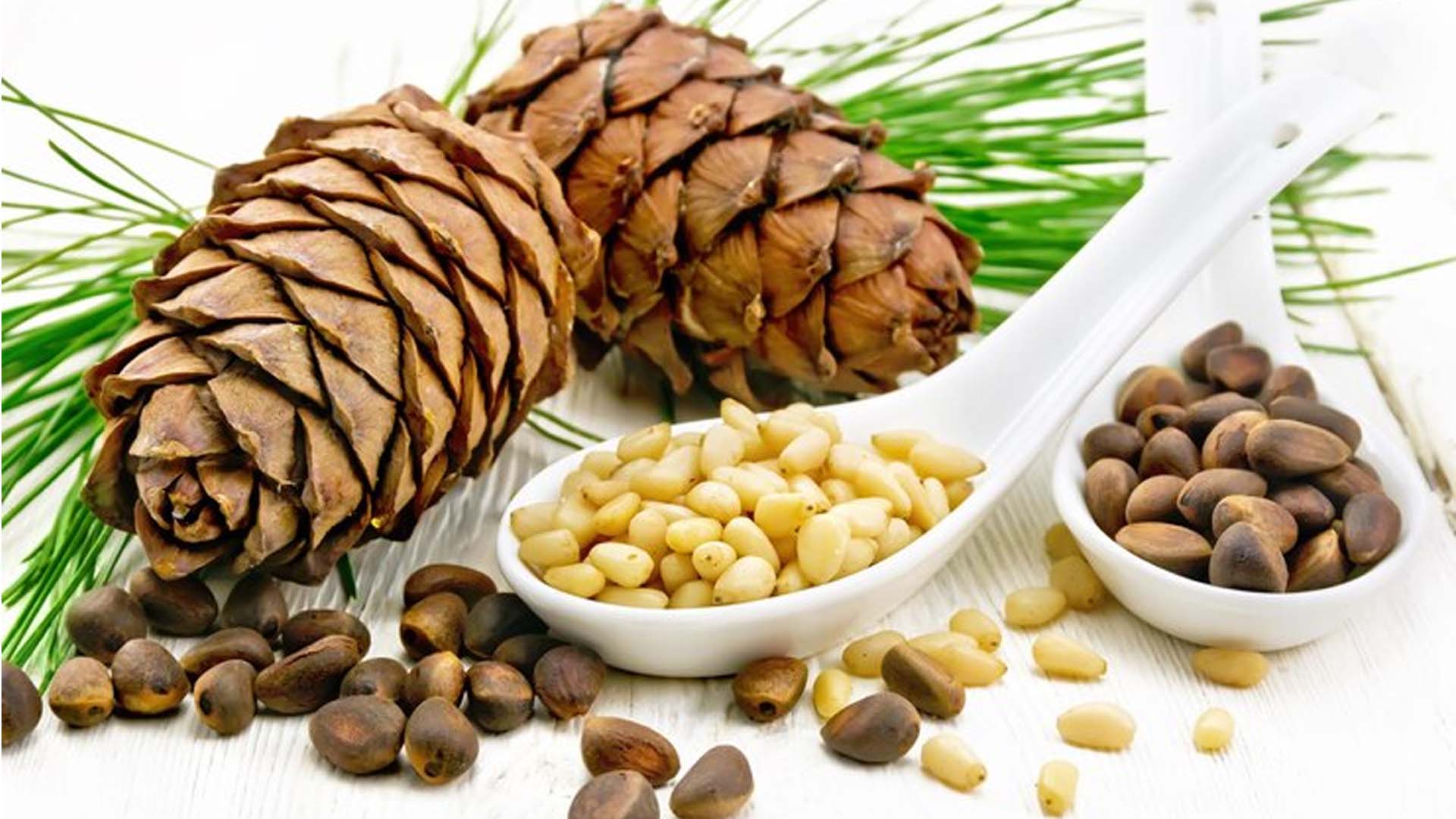 Pine Nuts Nutrition, Health Benefits and How to Include in Diet