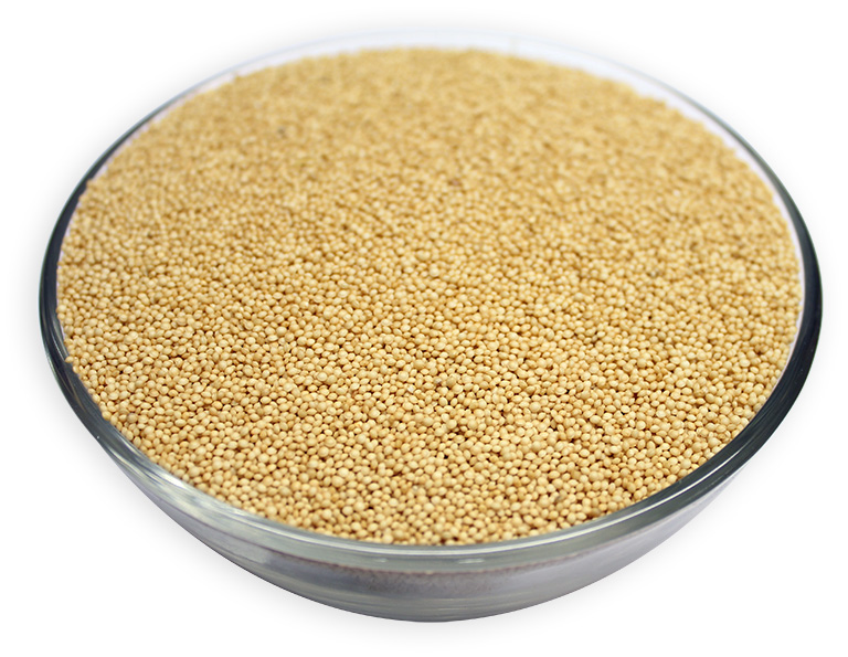 Buy Organic Amaranth Grain Seeds Online Nuts in Bulk